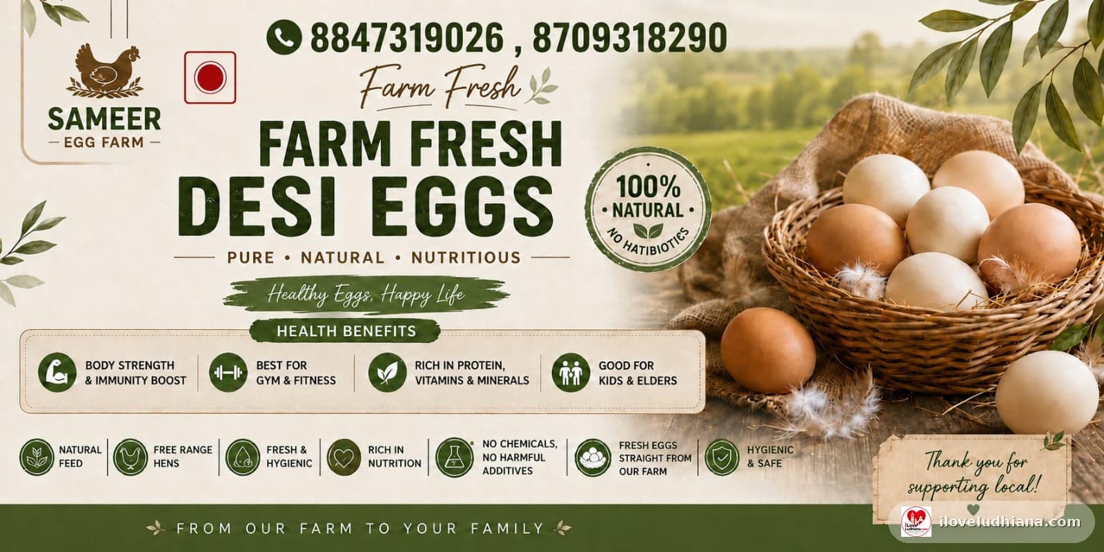 Farm fresh desi eggs in Ludhiana