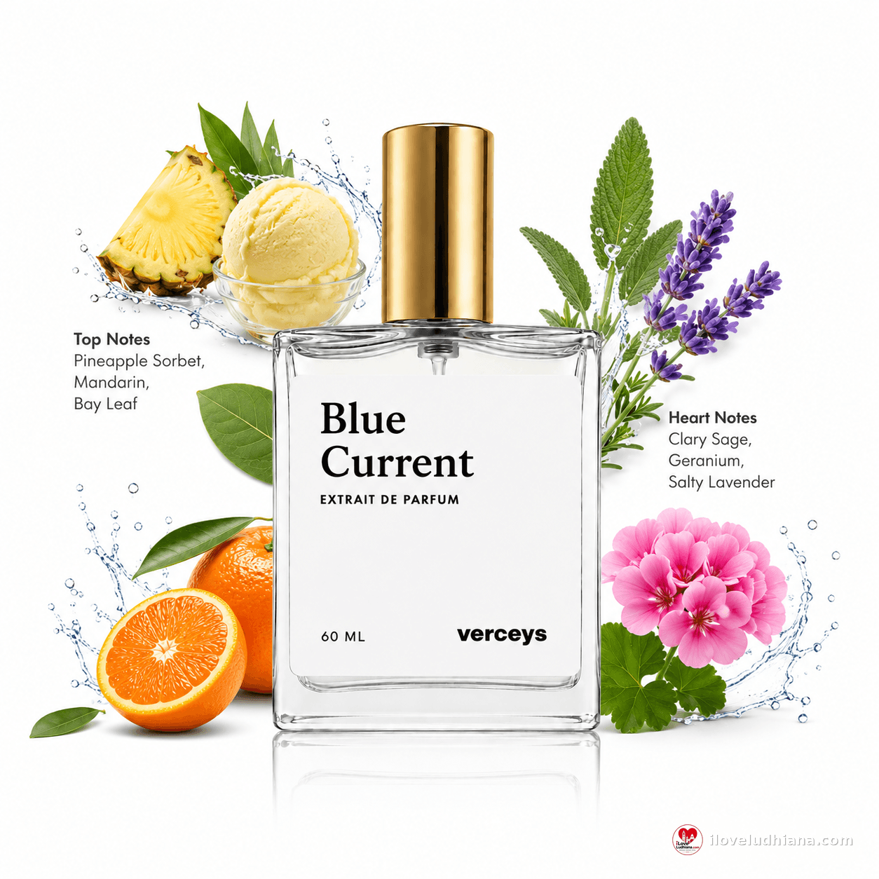 Blue Current Extrait De Parfum for Men & Women | Long Lasting Gym Perfume | Fresh Citrus & Aromatic Fragrance | Premium Unisex Perfume for Workout, Sports, Office & Daily Wear | 60 ML