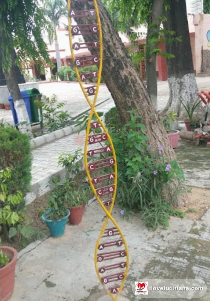 DNA Model