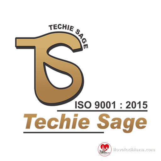 TECHIE SAGE — photo 1