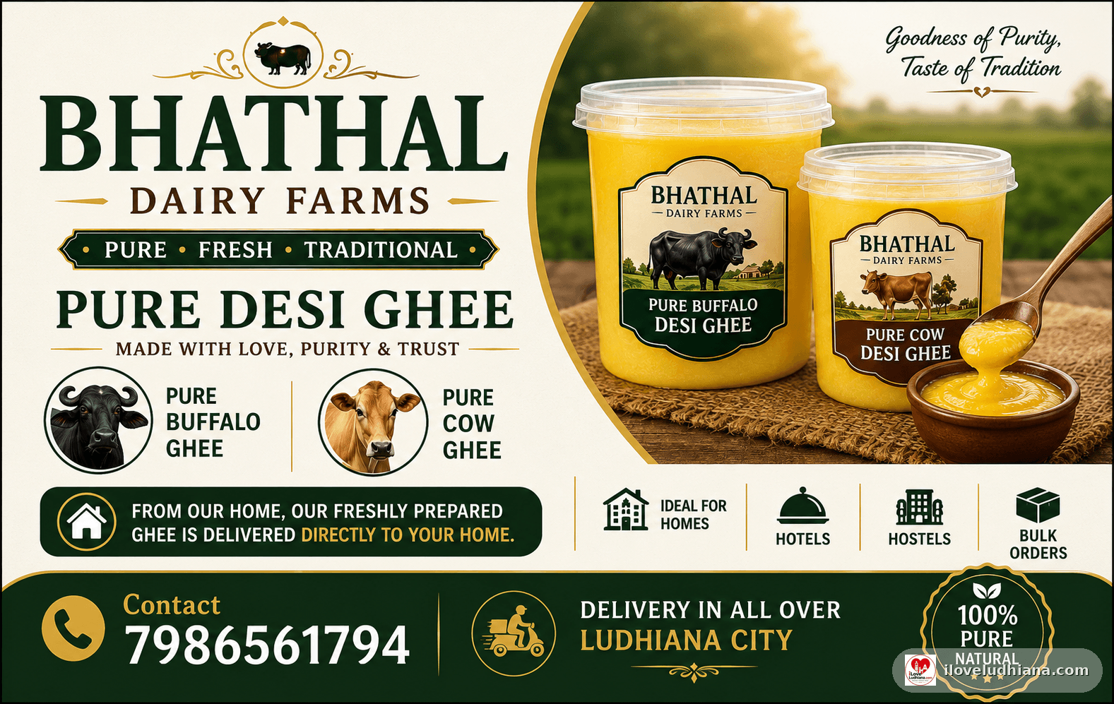 Cow pure desi ghee