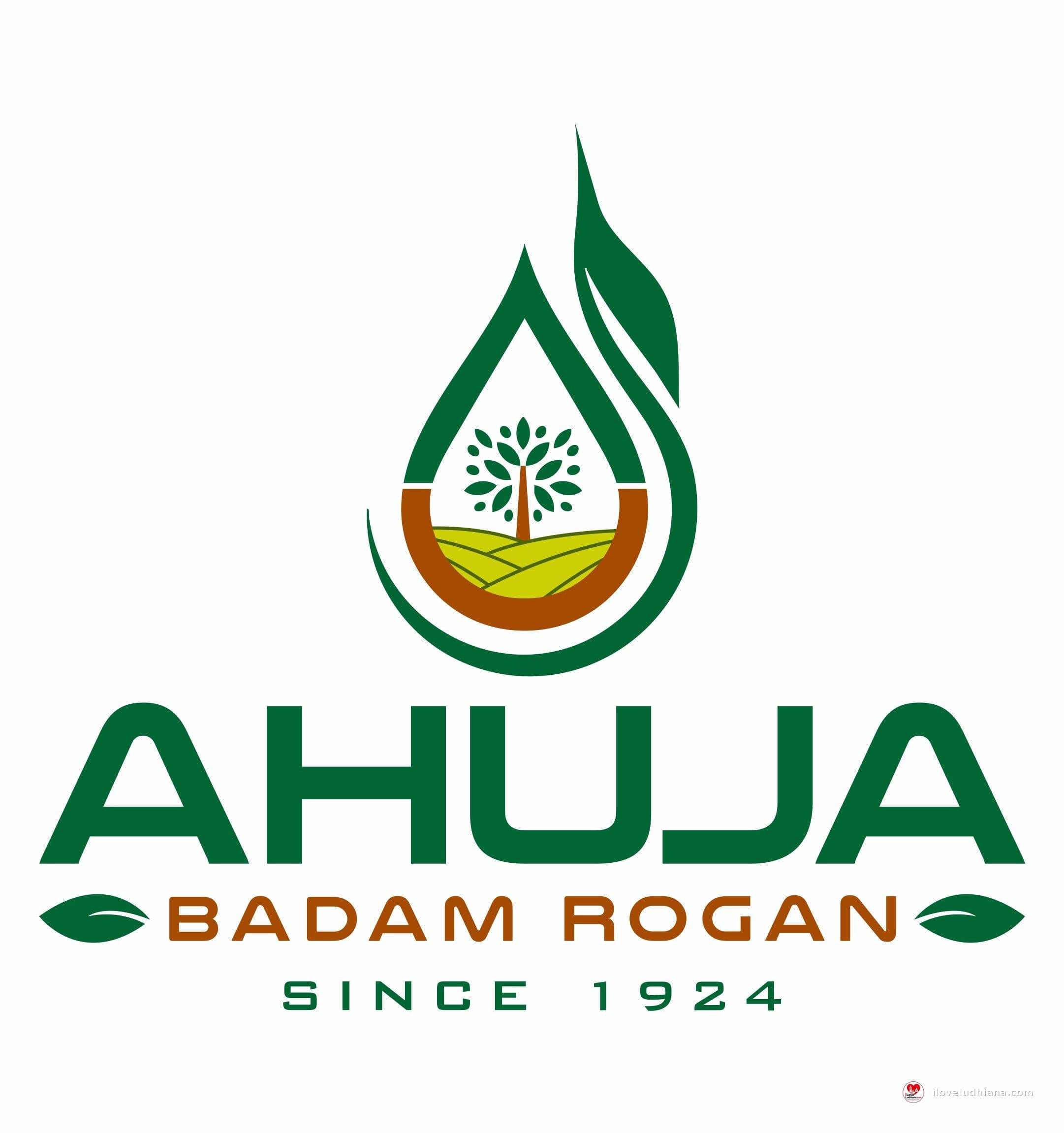 Ahuja Badam Rogan